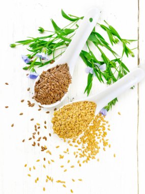 Keten tohumları iki kaşıkta beyaz ve kahverengidir. Mavi çiçekli keten sapları ve yukarıdan tahta bir arka planda yapraklar.