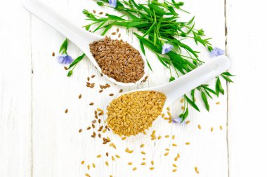 Keten tohumları iki kaşıkta beyaz ve kahverengi, mavi çiçekli keten sapları ve yukarıdan tahta bir arka planda yeşil yapraklar.