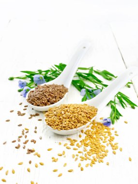 Linen seeds white and brown in two spoons, stalks of flax with blue flowers and green leaves on a white wooden board background