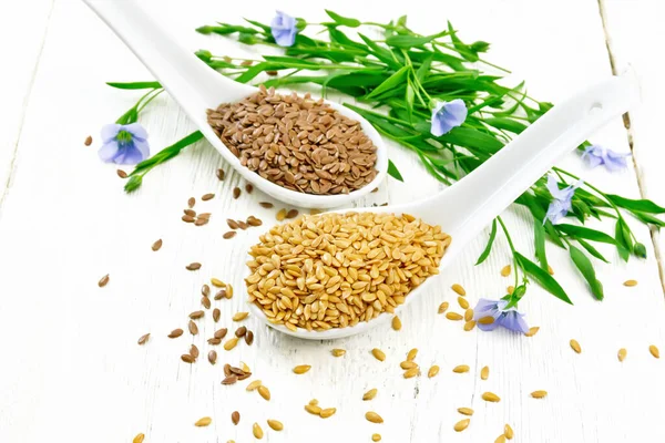 Flaxseeds White Brown Two Spoons Stalks Flax Flowers Leaves Background — Stock Photo, Image