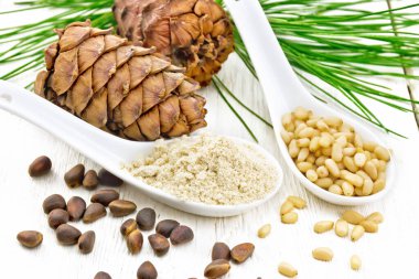 Sedir unu ve soyulan fındıklar iki kaşık, iki koni, arka planda yeşil bir sedir dalı