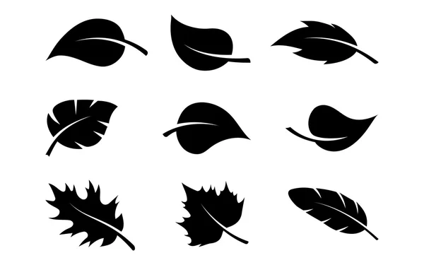 Zwarte silhouetten van bladeren set — Stockvector