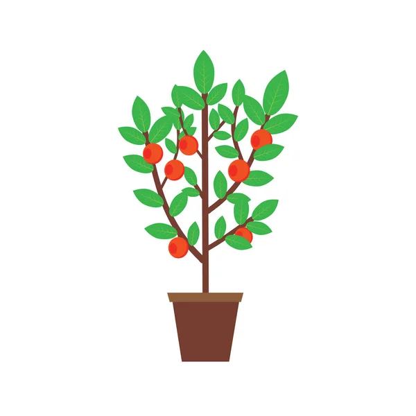 Pommier à feuilles vertes — Image vectorielle