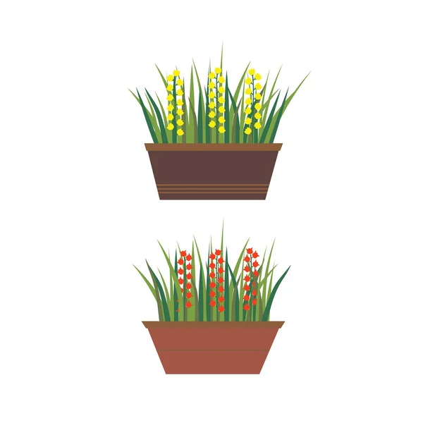 Flowers in pots — Stock Vector