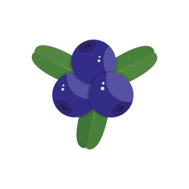 Beyaz arkaplanda yabanmersini