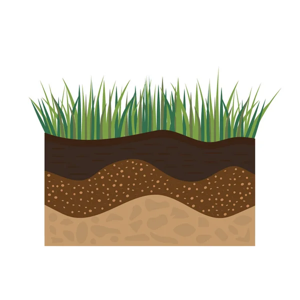 Půdní profil s trávou — Stockový vektor