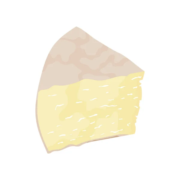 イタリア チーズ ペコリーノ — ストックベクタ