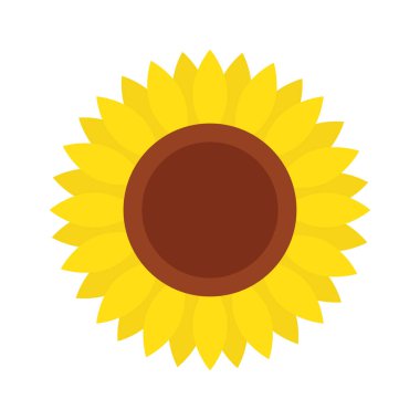 Beyaz arka plan üzerinde izole ayçiçeği simgesi