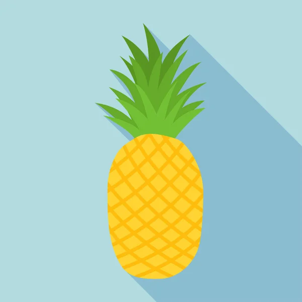 Icono de piña con sombra larga — Vector de stock