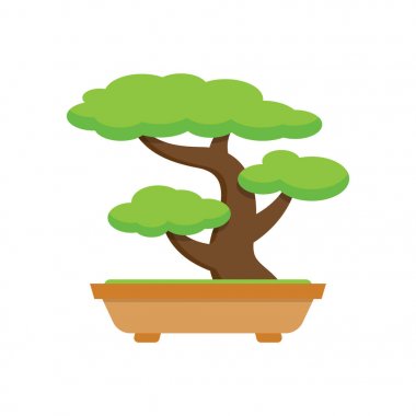 Ağacı Bonsai. Japon ağacı.