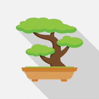 Ağacı Bonsai. Japon ağacı.