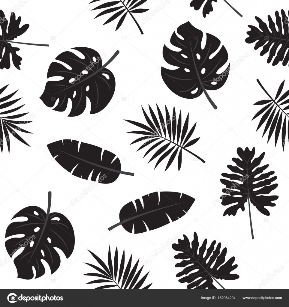 Black and white tropical leaves seamless pattern. Stock Vector by