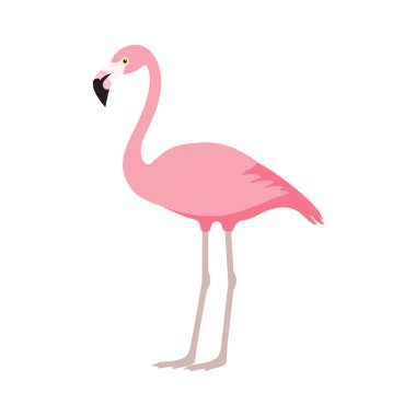 pembe flamingo simgesi beyaz arka plan üzerinde