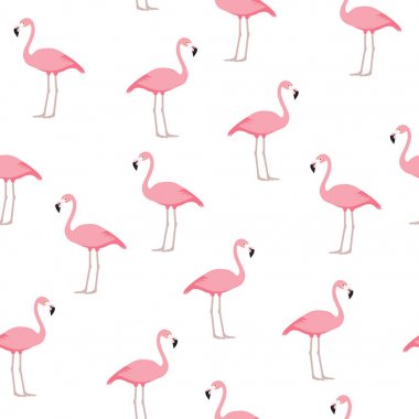 Flamingo pürüzsüz desen