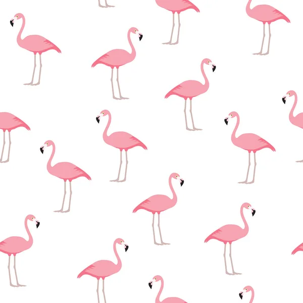 Modèle sans couture Flamingo — Image vectorielle