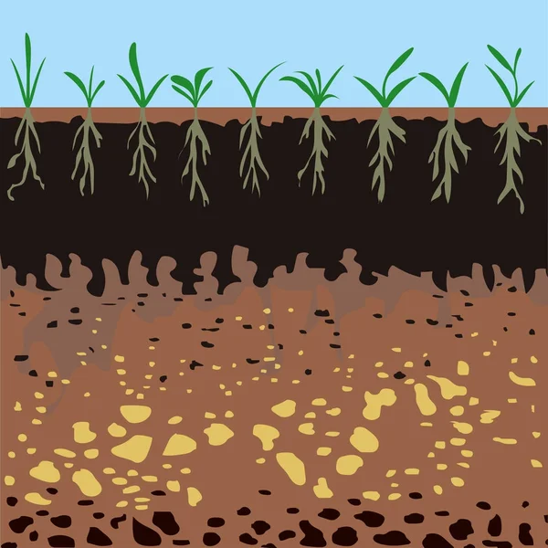 Camadas de solo com plantas verdes —  Vetores de Stock