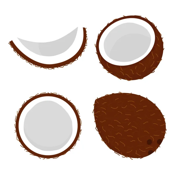 Set med kokos — Stock vektor