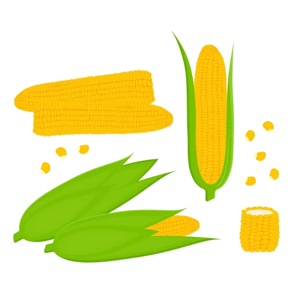 Conjunto con maíz sobre fondo blanco — Vector de stock