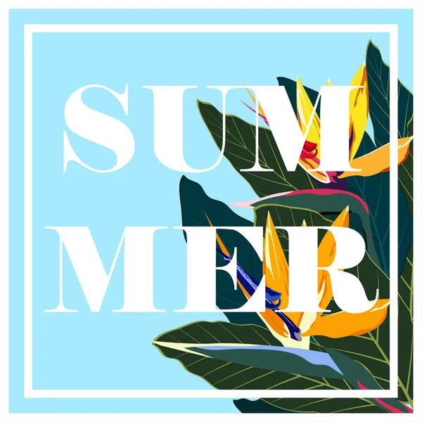 Simple carte d'été — Image vectorielle