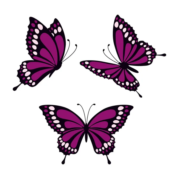 Set con mariposas — Vector de stock