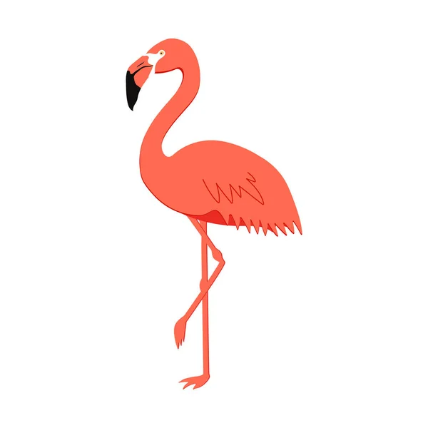 Cute pink flamingo — Stock Vector