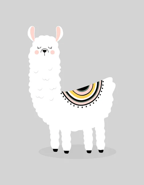 Schattig lama geïsoleerd — Stockvector