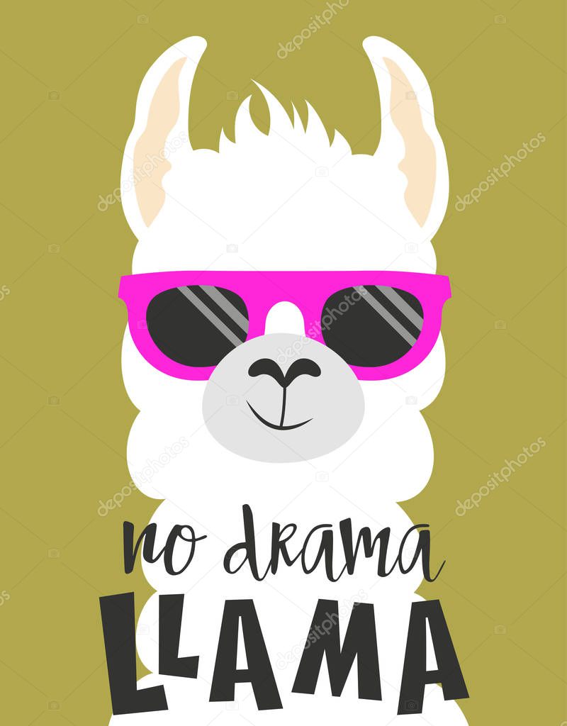 cute llama isolated