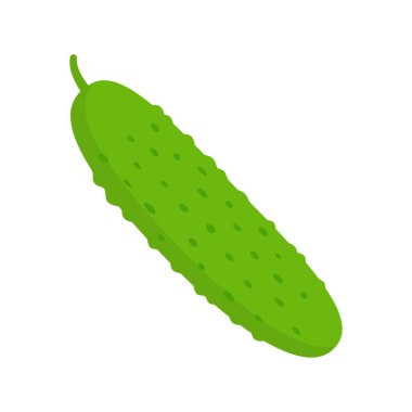 Yeşil salatalık sebze ikonu. Beyaz arkaplanda izole edilmiş vektör illüstrasyonu.