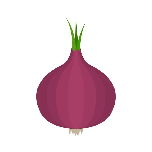 Raw Red Onion Vegetable Icon Vector Illustration Isolated White Background — Stock Vector