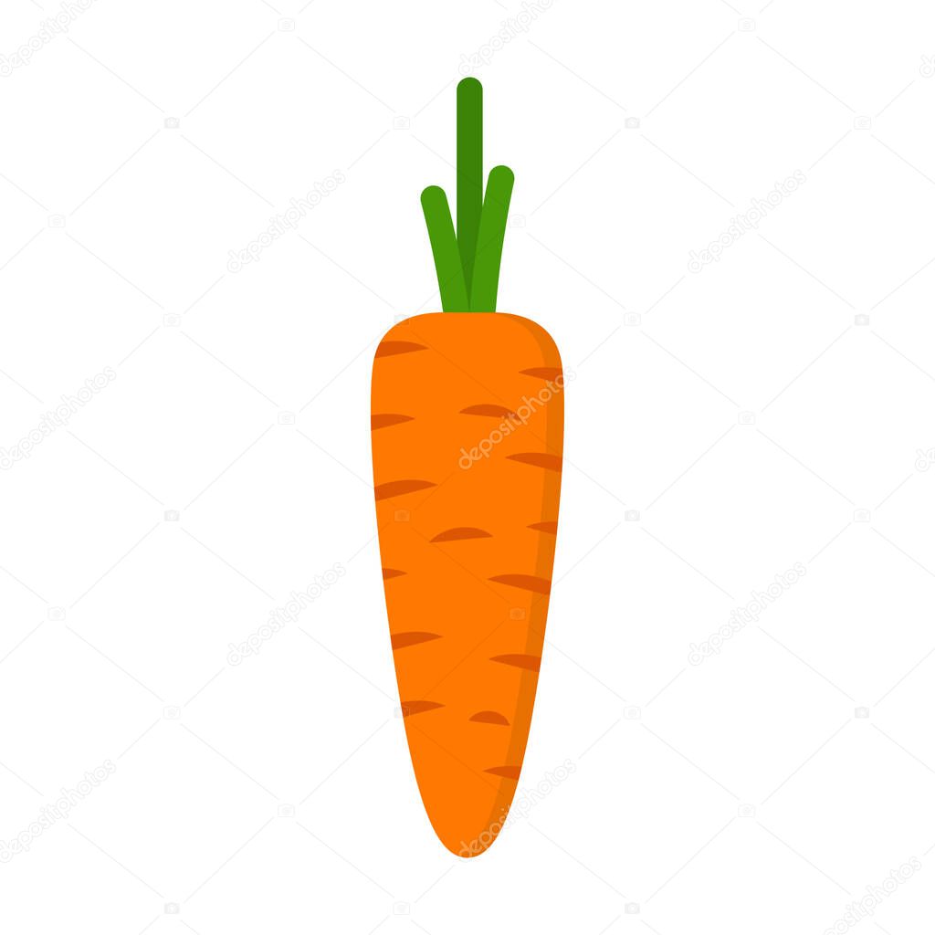 Orange fresh carrot. Healthy food. Vector illustration, isolated on a white background.