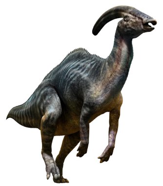 Parasaurolophus 3D illustration clipart