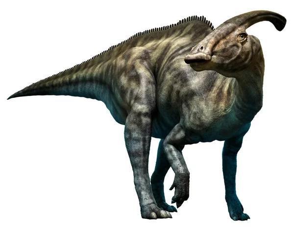 Parasaurolophus walkeri 3D illustration — Φωτογραφία Αρχείου