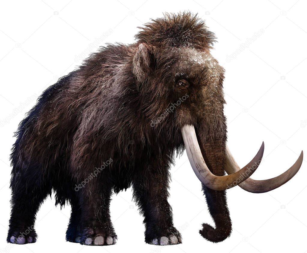 Mammoth 3D illustration