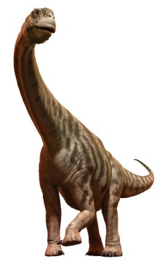 Camarasaurus 3D illustration