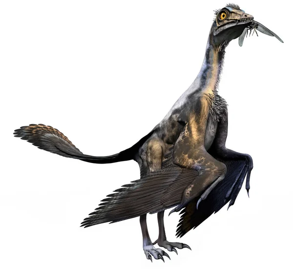 Archaeopteryx Ilustración 3D — Foto de Stock