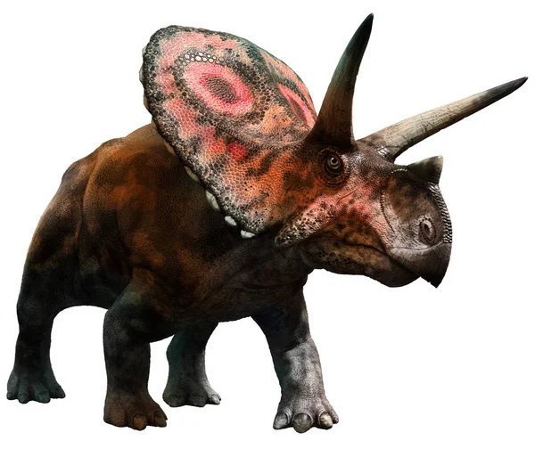 Torosaurus 3D illustration — Stock fotografie