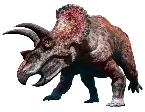 Triceratops 3d ілюстрація — стокове фото