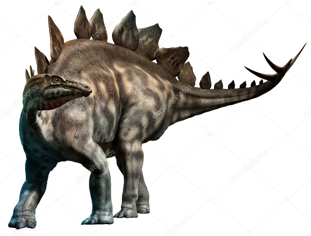 Stegosaurus 3D illustration