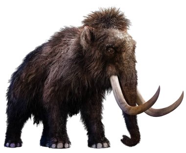 Mammoth 3D illustration clipart