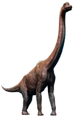 Brachiosaurus 3d çizim