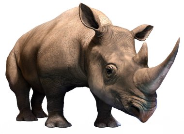 Siyah rhino 3d çizim 