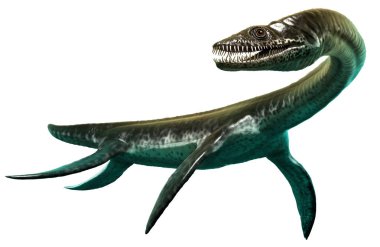 Plesiosaurus 3D illüstrasyon