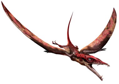 Eudimorphodon 3D illustration 