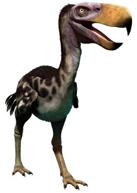 Kelenken 3D illustration