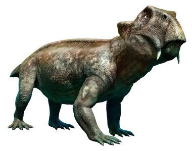 Lystrosaurus 3D illustration