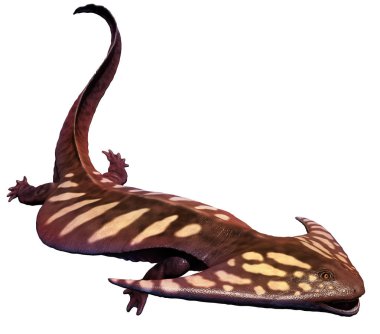 Diplocaulus 3D illustration