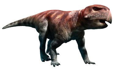 Psittacosaurus 3d çizim