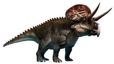 Zuniceratops 3 boyutlu illüstrasyon
