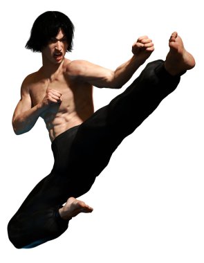 Kung fu martial artist 3D illustration clipart
