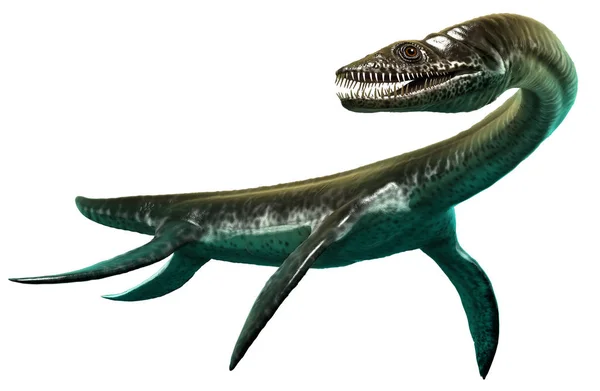 プレシオサウルス3Dイラスト — ストック写真